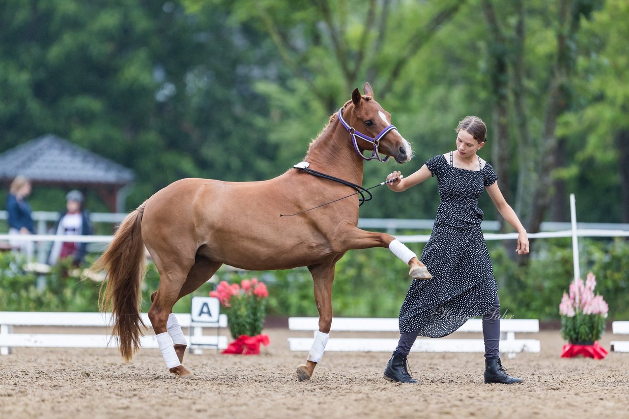 Bild 152 - Pony Akademie Turnier